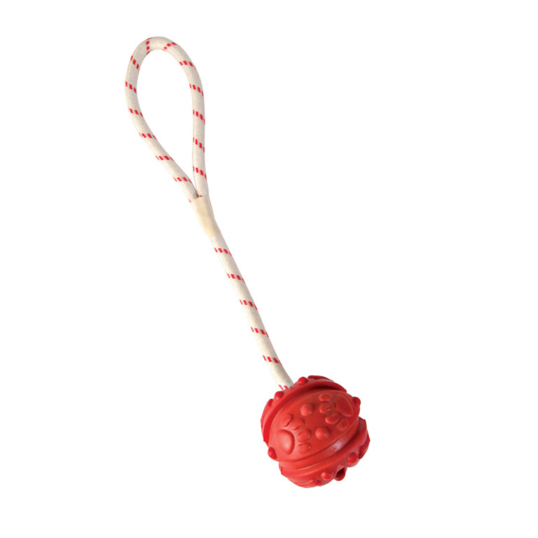TRIXIE Ball am Seil