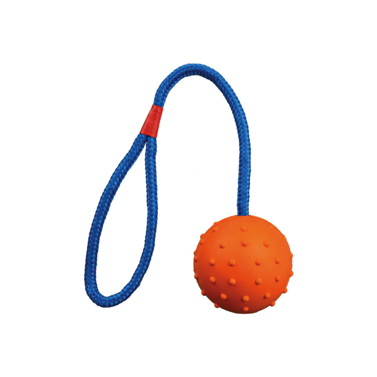TRIXIE Ball am Seil