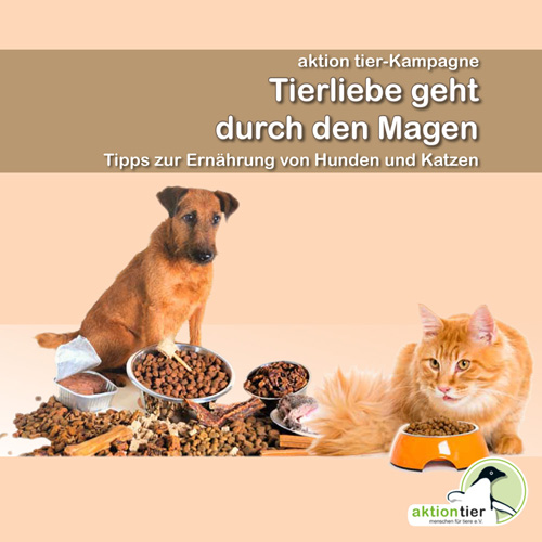 aktion tier Broschüre