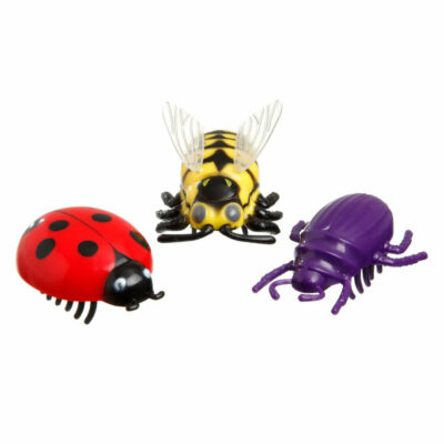 Crazy Bugs