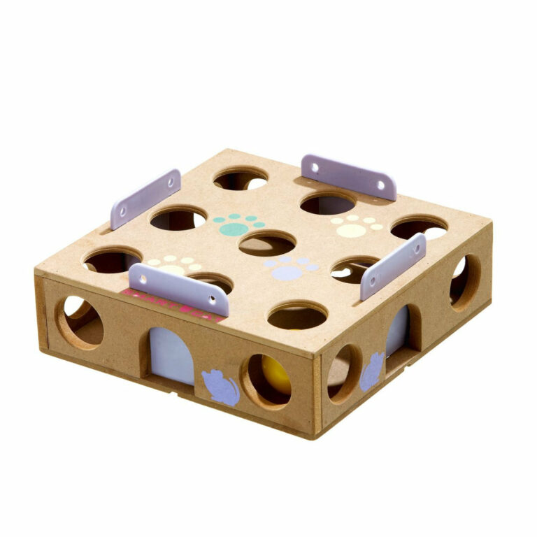 Smart Cat Activity Box
