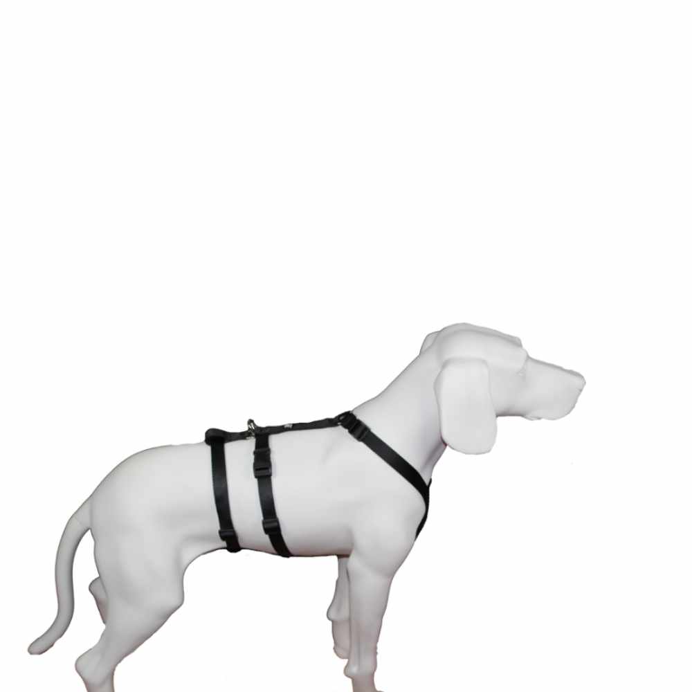 *Tierheim Kehl NoExit Sicherheitsgeschirr für "Blanca" ZABELLO