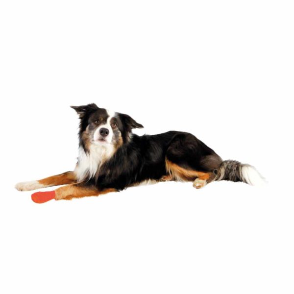 Tierheim Roggendorf BitterstoffBandagen Knabberschutz für Hunde