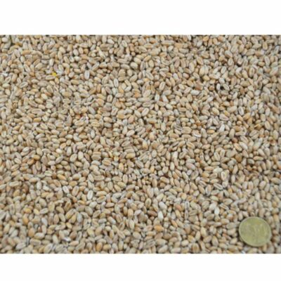Lottihof | Ströh Futterweizen, 25kg