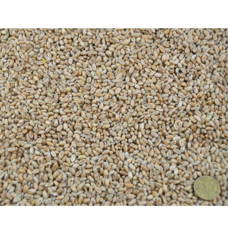 Lottihof | Ströh Futterweizen, 25kg