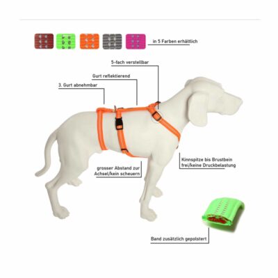 *viel gebraucht* Tierheim Falkensee | Feltmann Hundegeschirr NoExit -Super Soft -ausbruchsicheres Hundegeschirr