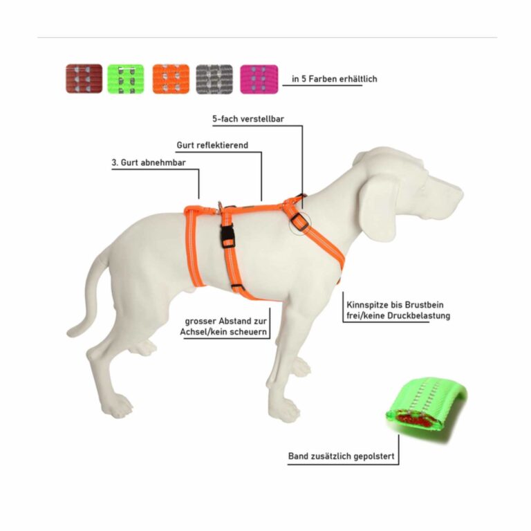 *viel gebraucht* Tierheim Falkensee | Feltmann Hundegeschirr NoExit -Super Soft -ausbruchsicheres Hundegeschirr