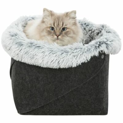 Tierheim Meissen | Bett Harvey