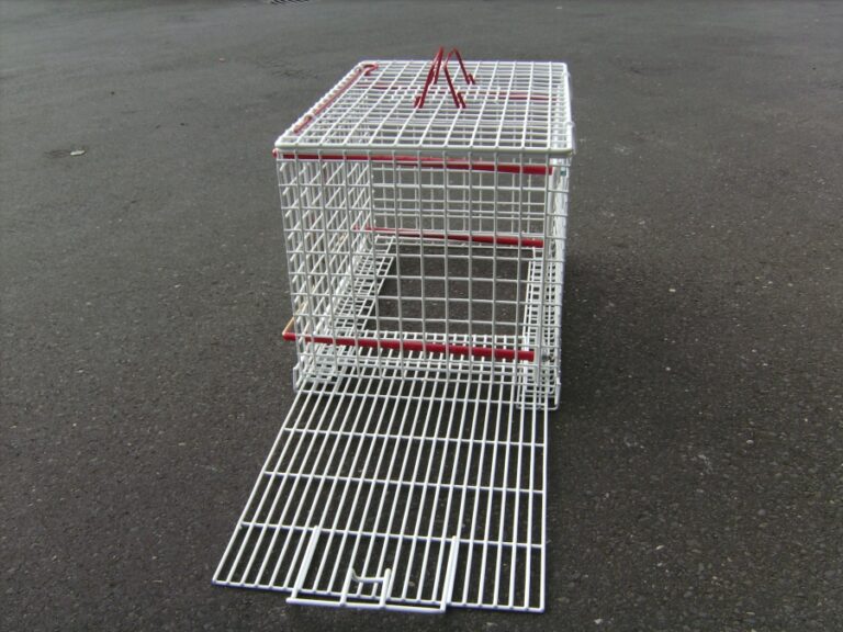 Tierheim Meissen | Transportkäfig / Fangkorb – Bild 3