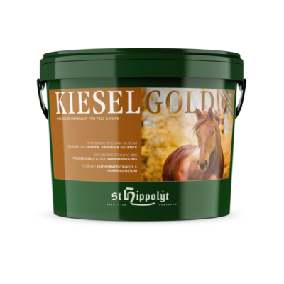 *viel gebraucht* Lottihof | St. Hippolyt Kieselgold 4kg