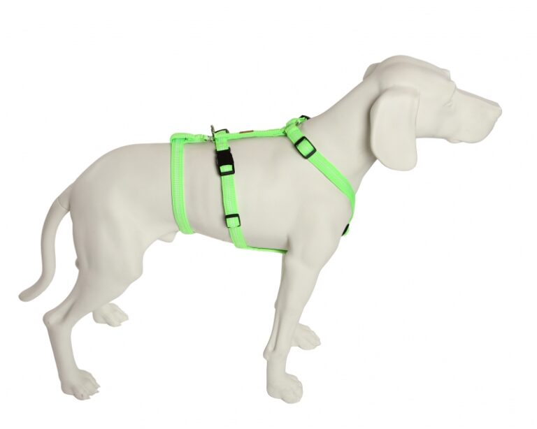 *viel gebraucht* Tierheim Falkensee | Feltmann Hundegeschirr NoExit -Super Soft -ausbruchsicheres Hundegeschirr – Bild 2
