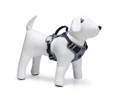 *Weihnachtswunsch* Tierheim Falkensee | Premium Y-Geschirr Parinca 40-61cm