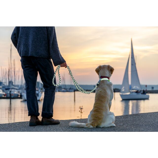 *Weihnachtswunsch* Tierheim Falkensee | Cavo Reflect Verlängerungsleine